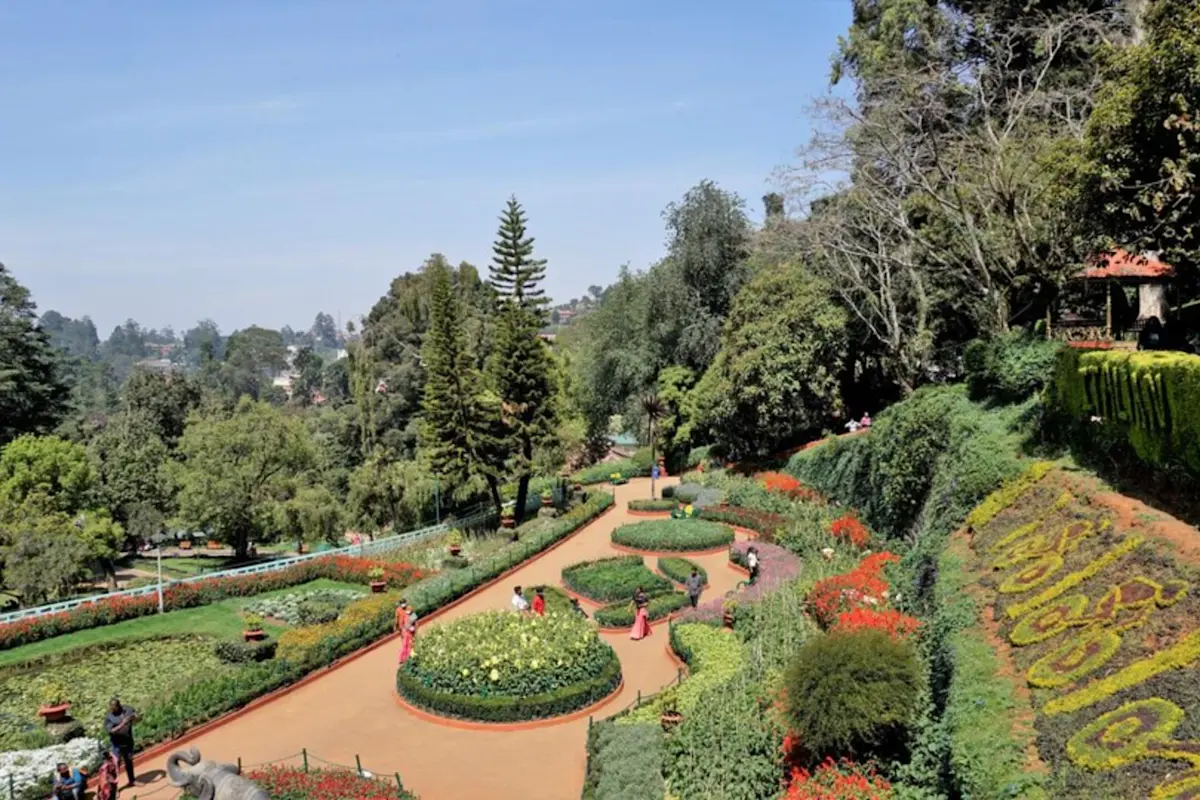 Experience the scenic beauty of Ooty Lake with TravelTaxi's guided boat tours in Tamil Nadu.