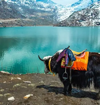 Discover the cultural heritage of Gangtok with TravelTaxi's guided tours in Sikkim.