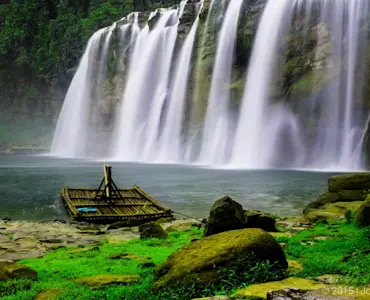 Discover the untamed beauty of Bandipur National Park with TravelTaxi's guided safaris in Karnataka.