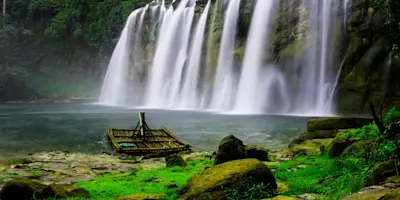 Discover the untamed beauty of Bandipur National Park with TravelTaxi's guided safaris in Karnataka.