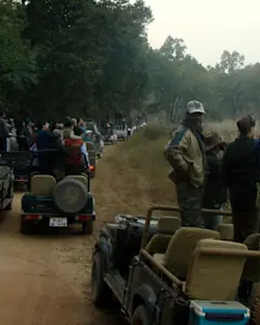 Discover natural wonders with TravelTaxi - The scenic Jeep Safari in Ranthambore National Park.