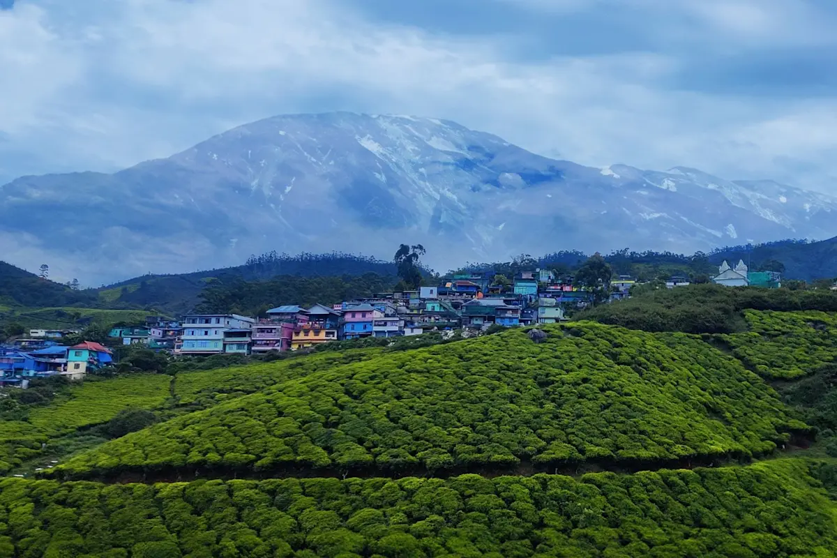 Experience the misty hills of Munnar with TravelTaxi's guided tours in Kerala's tea plantation haven.