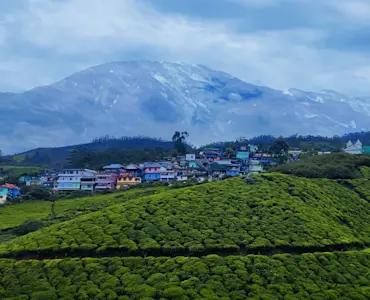 Experience the misty hills of Munnar with TravelTaxi's guided tours in Kerala's tea plantation haven.
