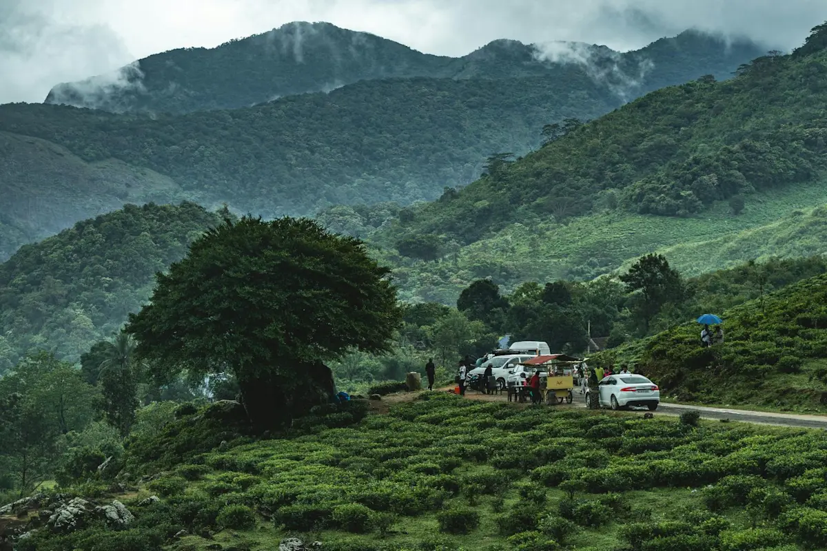 Discover the lush Keolodeo National Park near Bharatpur with TravelTaxi - A bird watcher's paradise in the Rajasthan plains.