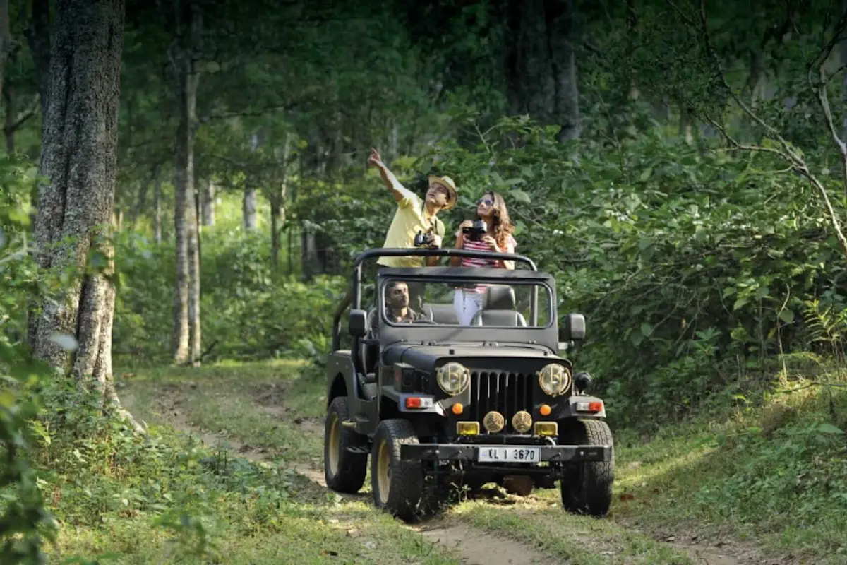 Experience the thrill of wildlife at Periyar National Park with TravelTaxi's guided safaris in Kerala.
