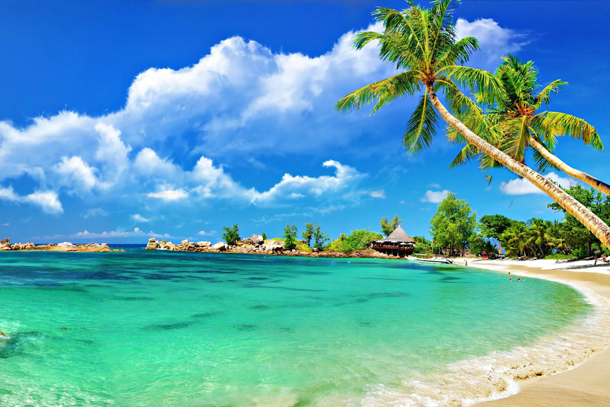 Discover the iconic Baga Beach with TravelTaxi's guided tours in North Goa.