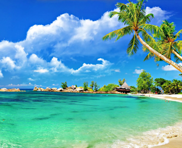 Discover the iconic Baga Beach with TravelTaxi's guided tours in North Goa.