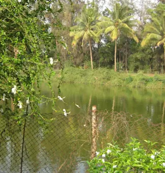 Experience the adventure of trekking at Satmalia Deer Park with TravelTaxi's guided tours in Dadra and Nagar Haveli.