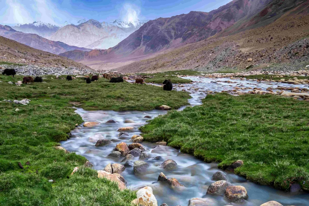 Discover the serene beauty of Pangong Tso with TravelTaxi for a breathtaking Ladakhi escapade.