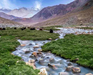 Discover the serene beauty of Pangong Tso with TravelTaxi for a breathtaking Ladakhi escapade.