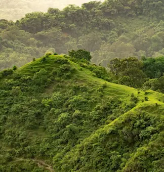 Explore the scenic Sitamata Wildlife Sanctuary with TravelTaxi - A lush green retreat in the hills of southern Rajasthan.