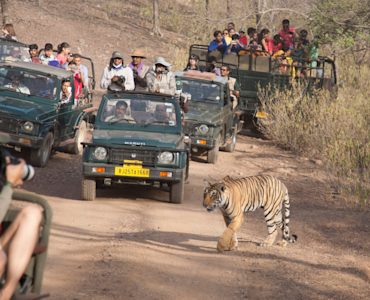 Indulge in natural grandeur with TravelTaxi - The majestic Jeep Safari in Ladakh's Nubra Valley.