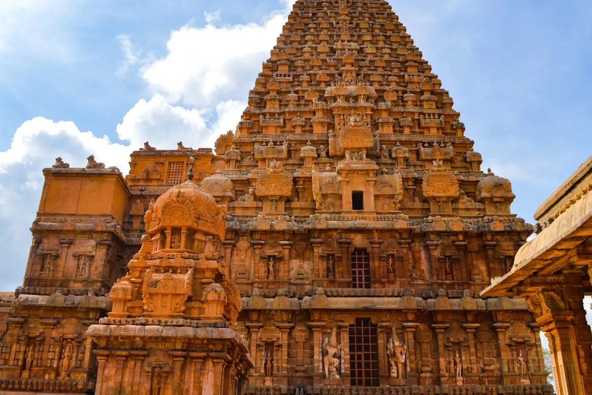 Experience the wildlife wonders of Mudumalai National Park with TravelTaxi's guided safaris in Tamil Nadu.