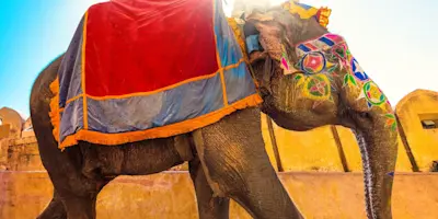 Amber Fort, Jaipur: Majestic hilltop fort with stunning architecture | TravelTaxi
