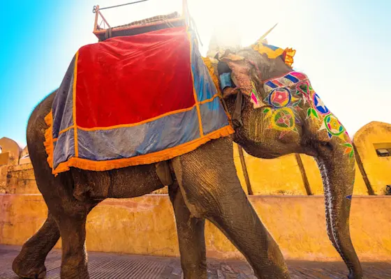 Amber Fort, Jaipur: Majestic hilltop fort with stunning architecture | TravelTaxi