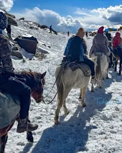 Indulge in Rohtang's culinary delights with TravelTaxi - The authentic Himalayan cuisine.