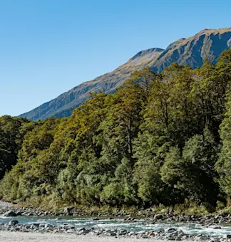 Experience the thrill of Ziro Valley with TravelTaxi's guided adventures in Arunachal Pradesh.