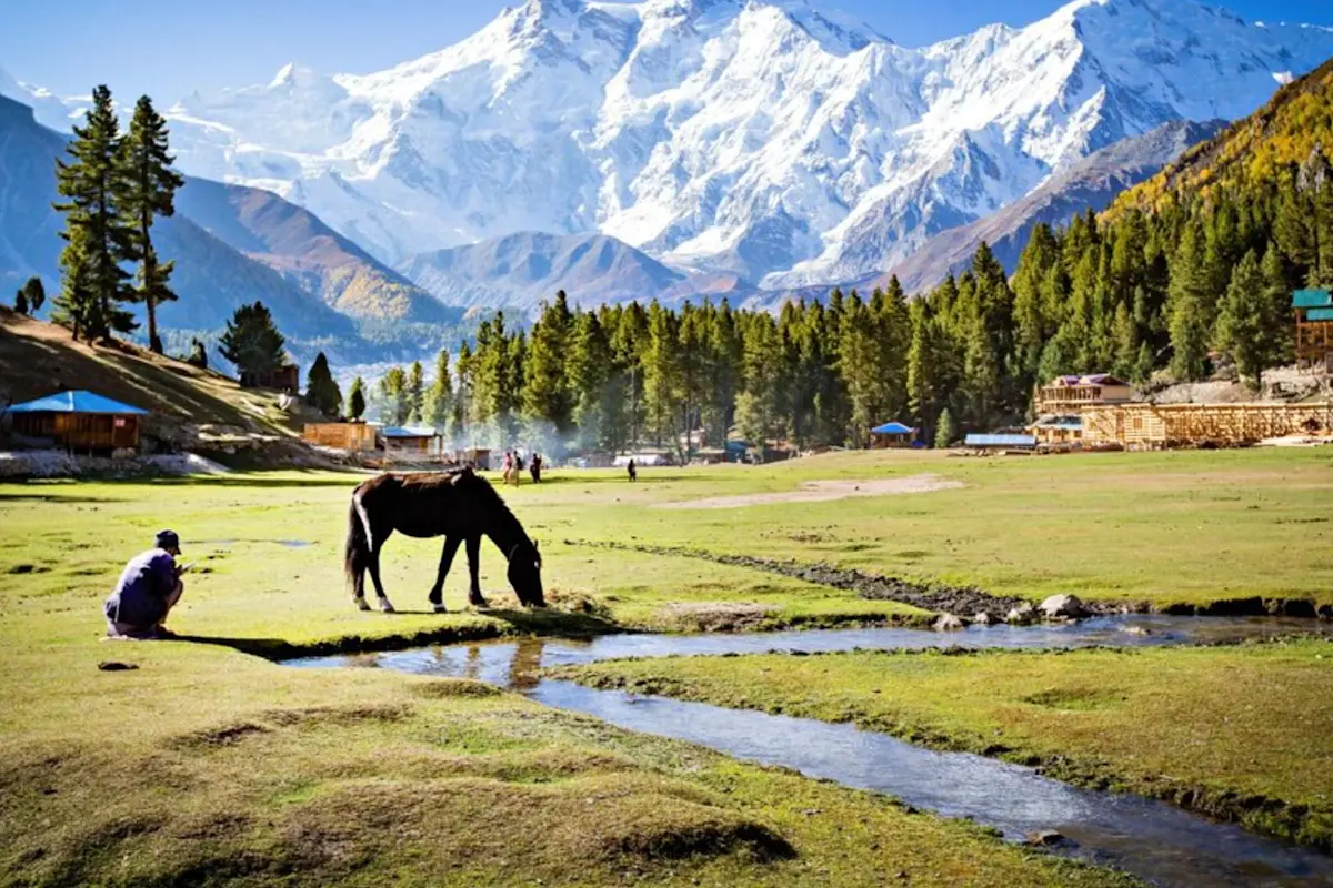 Explore adventurous Aru Valley with TravelTaxi's trekking tours from Pahalgam, Kashmir.