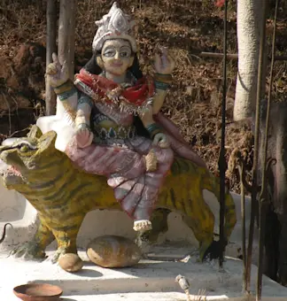 Explore the ancient Bandhavgarh Fort with TravelTaxi's guided historical tours in Madhya Pradesh.