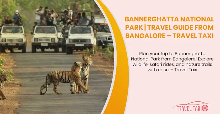 Complete Guide to Bannerghatta National Park Safari and Attractions