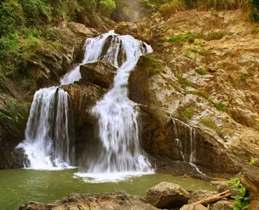Discover the majestic Jog Falls with TravelTaxi's guided tours in Karnataka's scenic wonder.