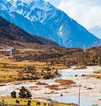 Explore vibrant Rhododendron forests with TravelTaxi's spring nature tours in Chopta, Uttarakhand.
