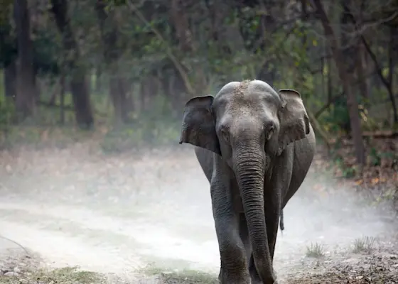 Discover the architectural marvels of Jaipur with TravelTaxi's guided heritage tours in Rajasthan, India.