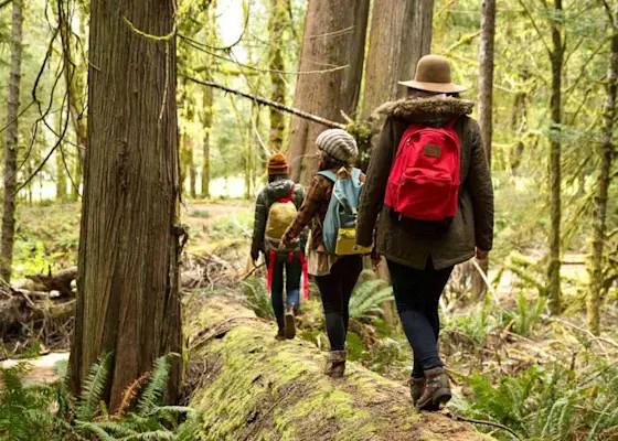 Explore underwater wonders with scuba diving in Udaipur with TravelTaxi - Dive into the depths of Fateh Sagar Lake.