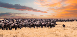 Tanzania