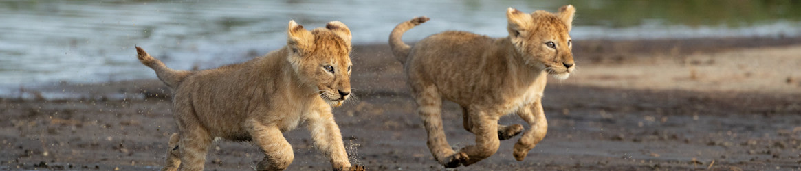 Tanzania