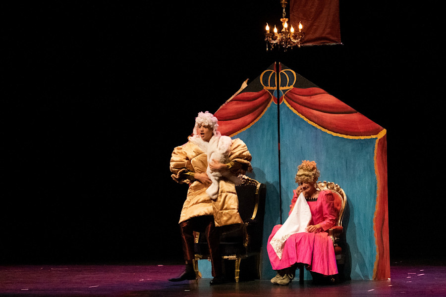 Rode Prinses Zjuust 21 c2