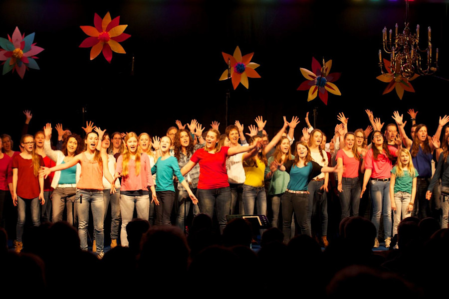 VOX en No Dubio, Brummen 2015