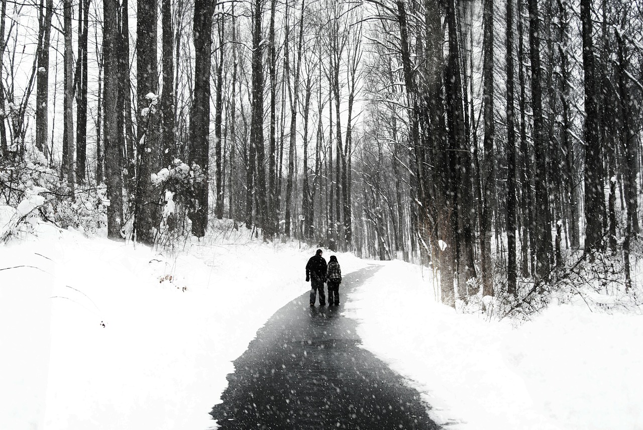 Two people walking on a path in nature as it snows.