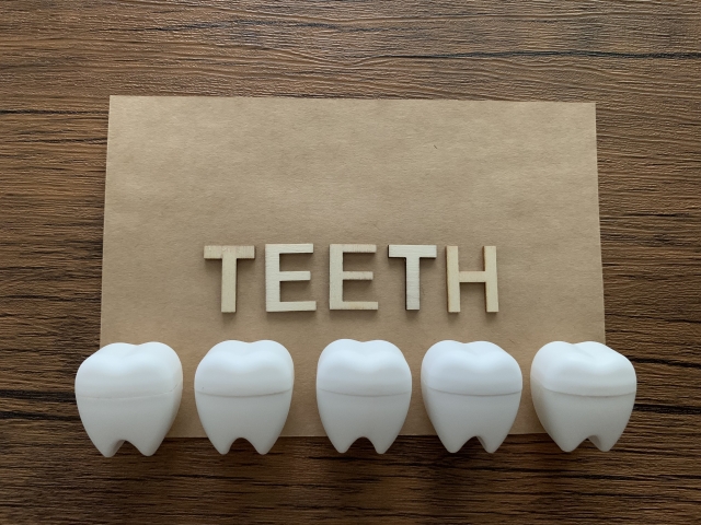 teeth 歯 4