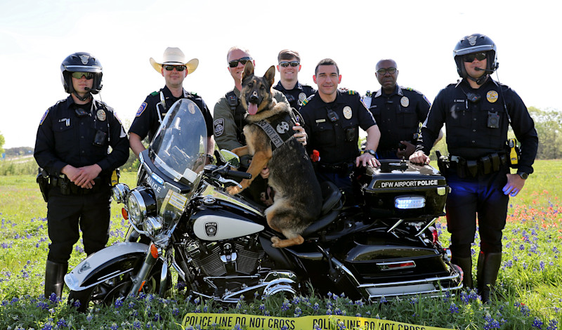 DPS Police