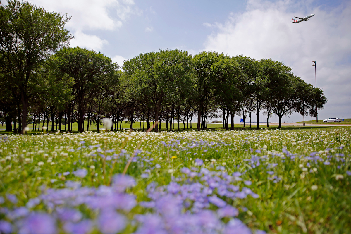 Texan by Nature Photo
