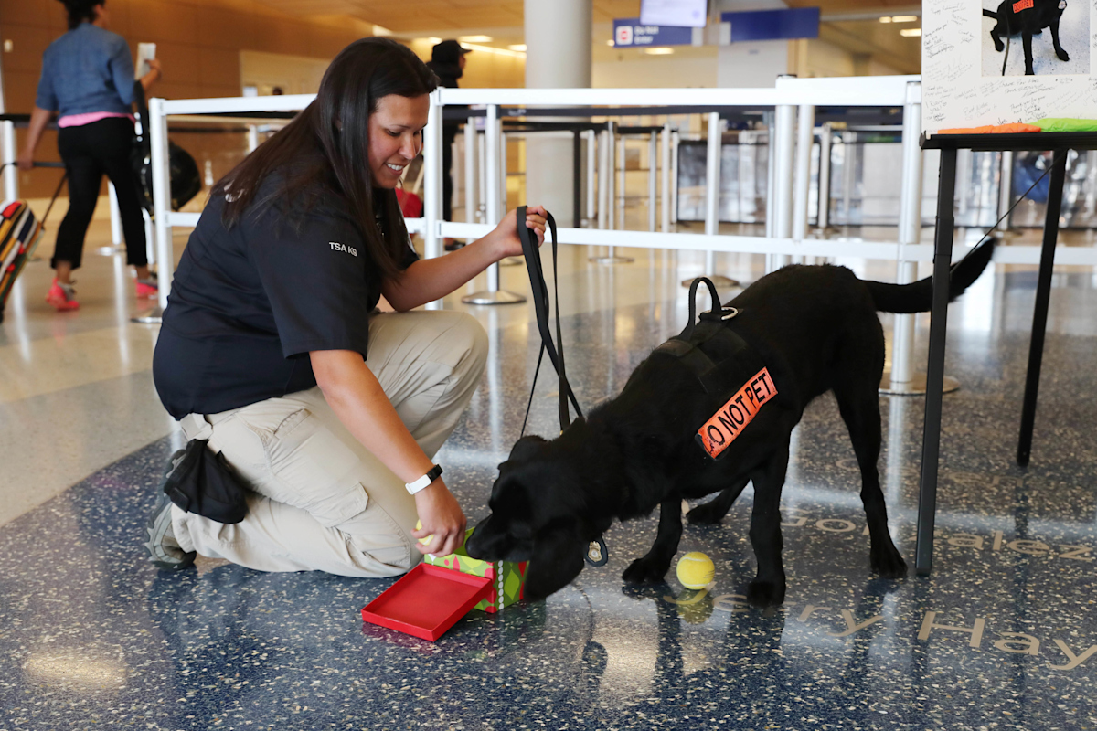 K9 Unit