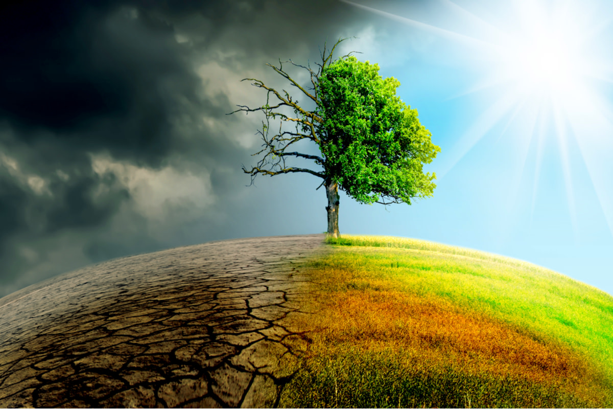 climate change