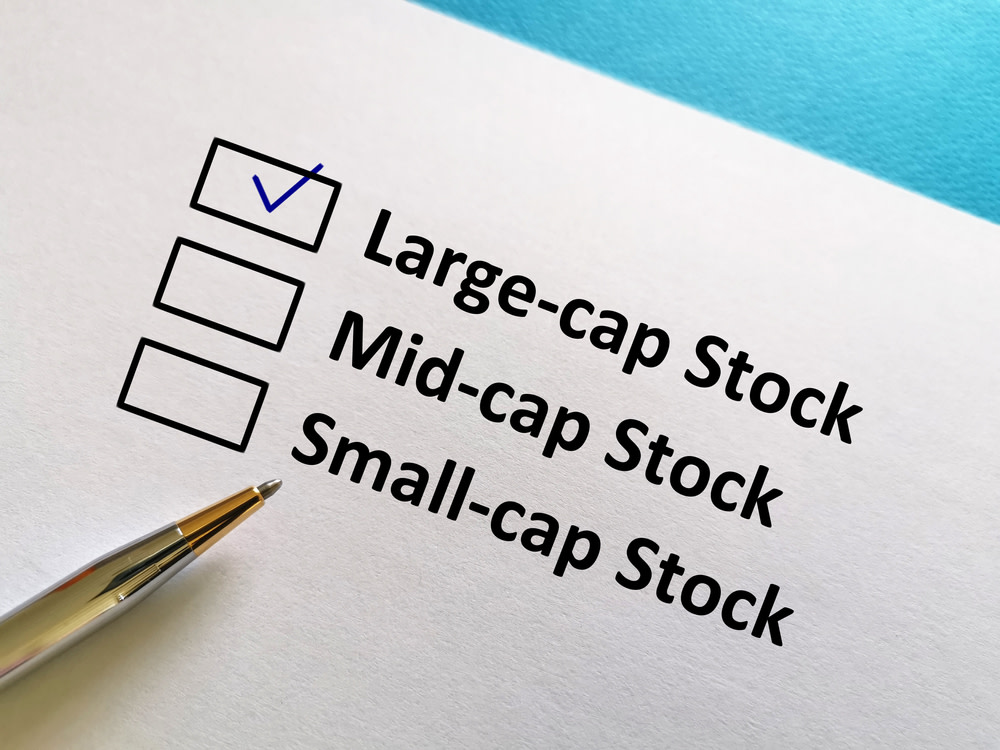 Large cap stock concept
