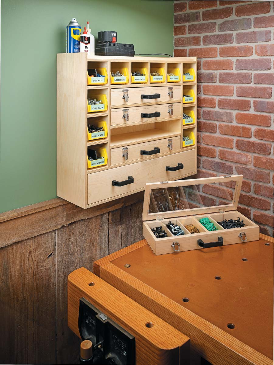 mounted wall cabinet with organizer bins and remvable lidded trays