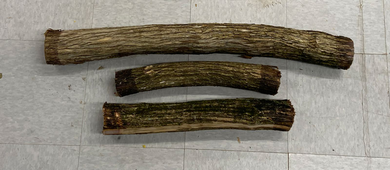 ShopNotes podcast 247 honeysuckle logs