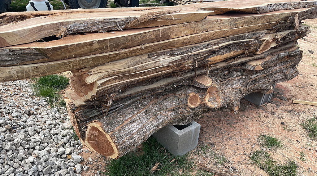 ShopNotes Podcast 153 — The Eastern Red Cedar Challenge