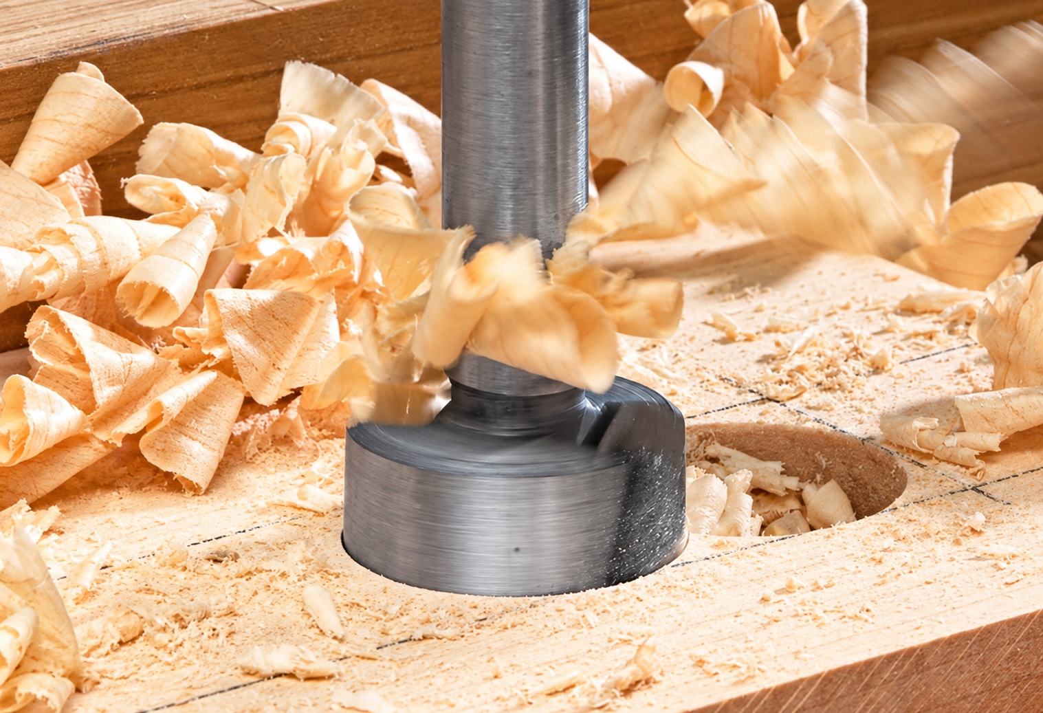 sharp forstner bit