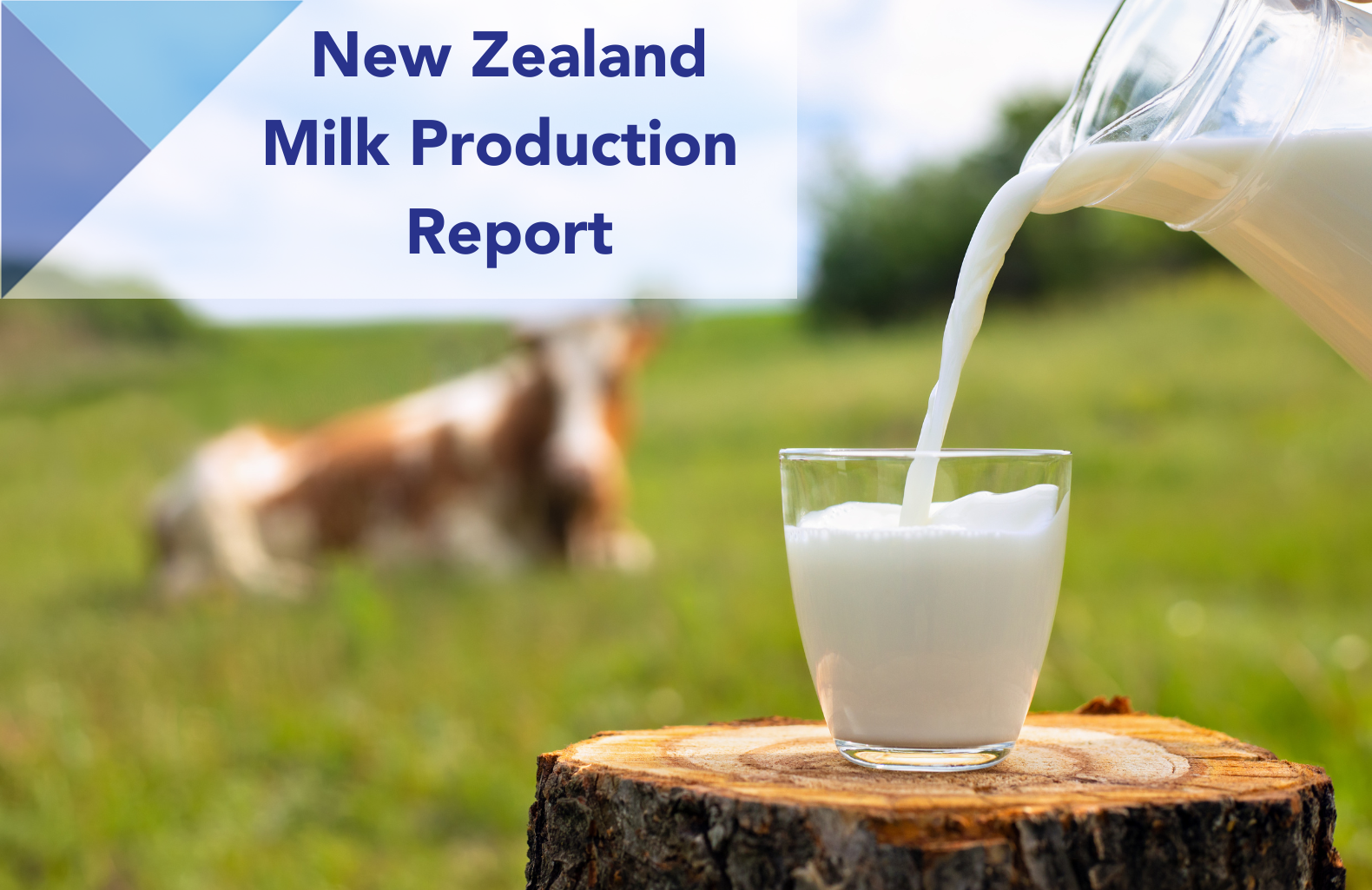 NZ Milk Production Block Image