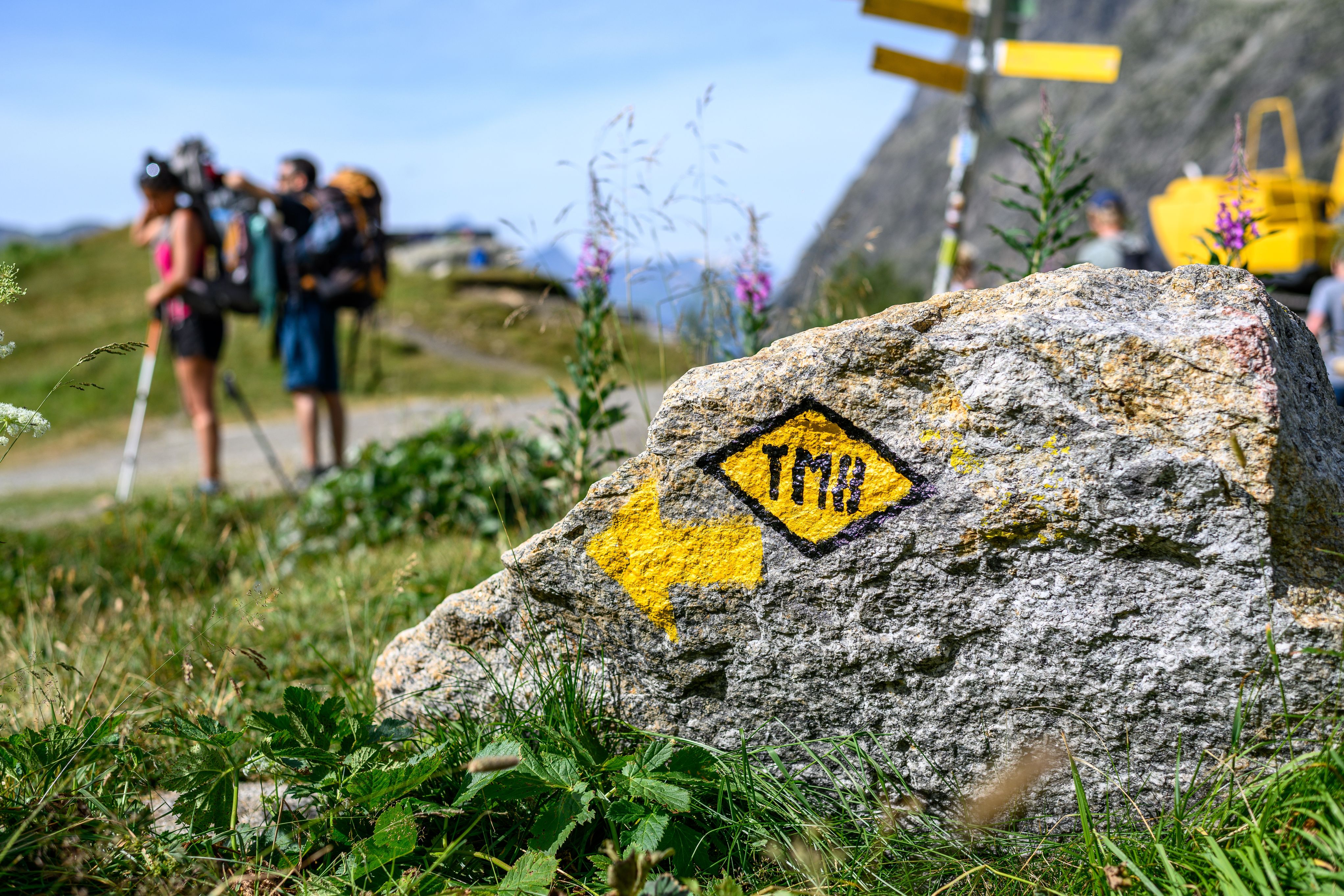 Tour du Mont Blanc. Photo: shutterstock_2599313333