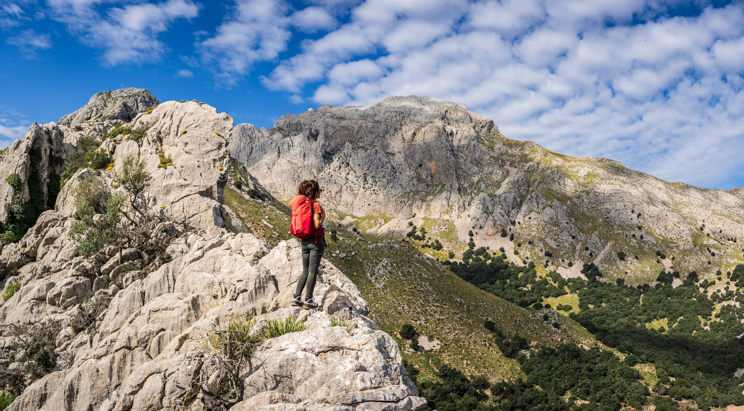 Tramuntana, Mallorca, Spain. Photo: Shutterstock_2445820647