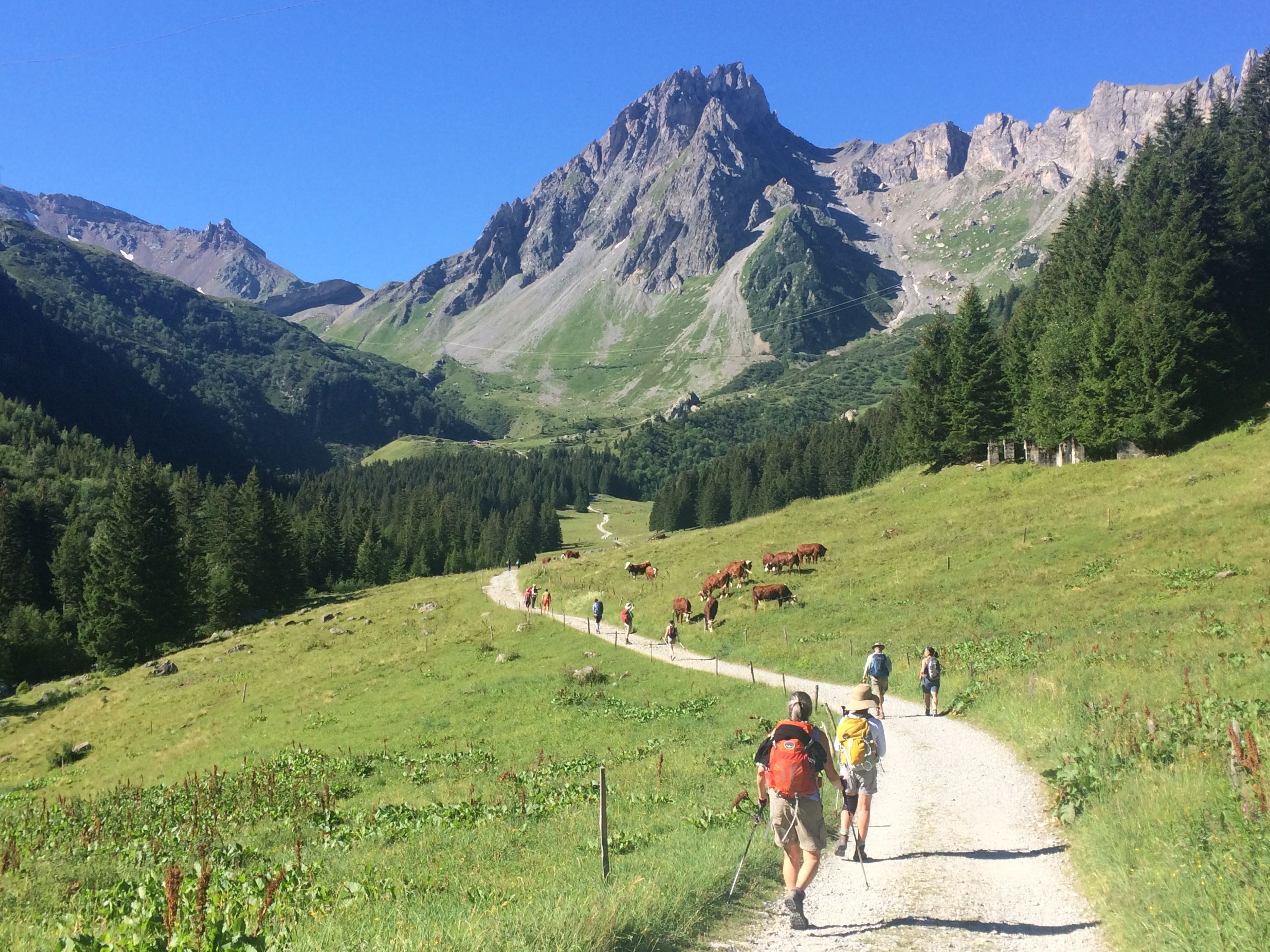 Hiking the Tour du Mont Blanc, France. Photo: Host // Live, Breathe, Hike
