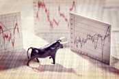 A bull on financial documents, facing charts.