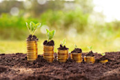 Sustainable and growing investments