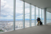 Glass windows of a skyscrapper